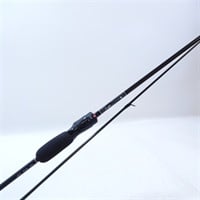 ２３月下美人ＡＩＲＡ ６６Ｌ－Ｓ・Ｗ